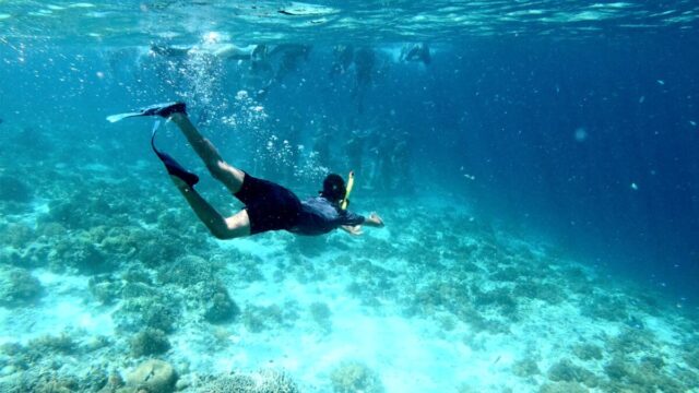 cime services travel tripcime langkawi tour package 02